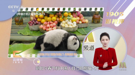 欧洲亚洲一区